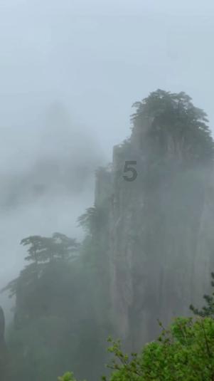 为何家长总是热衷于带孩子打卡名校？